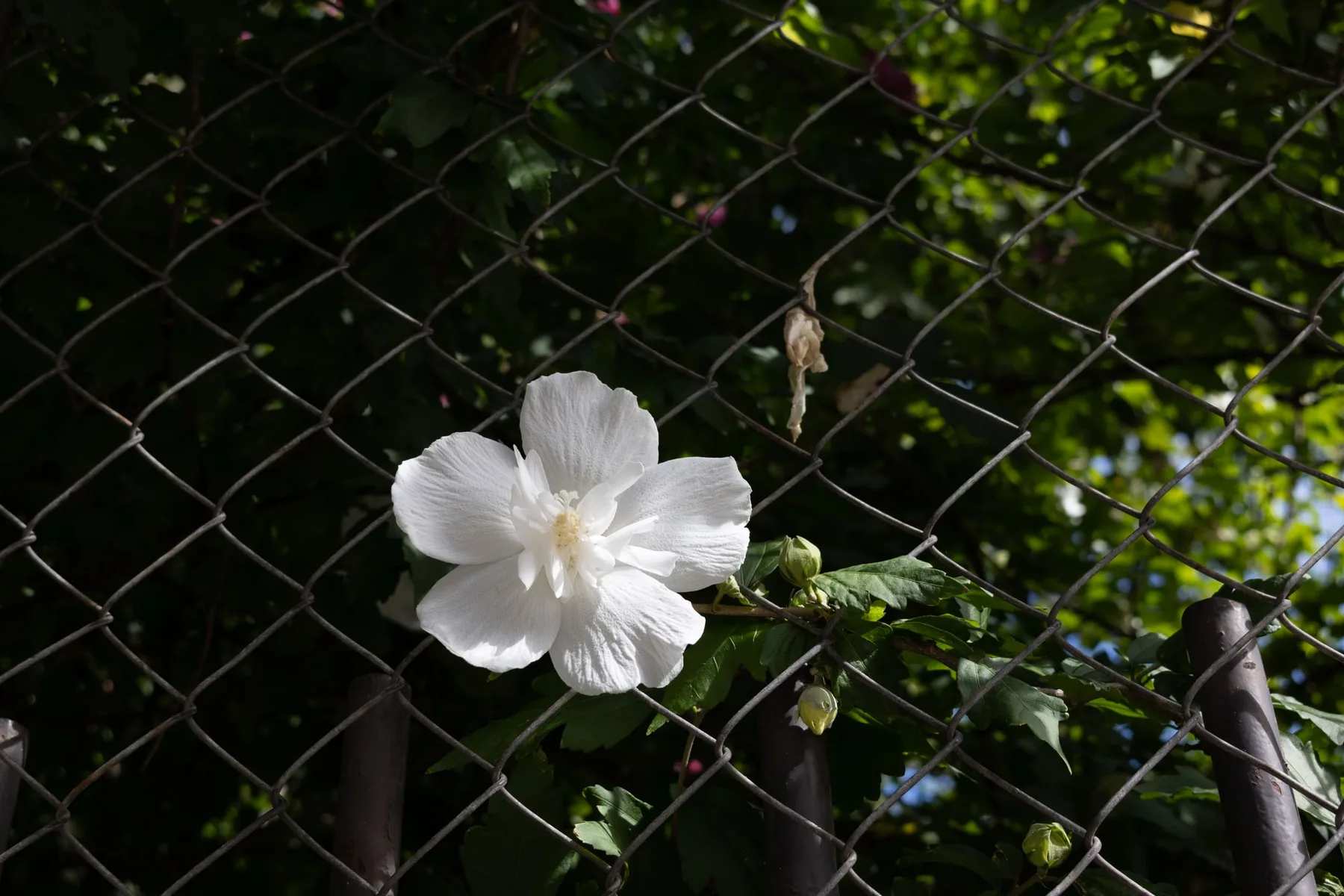 Photographie — visuel 2