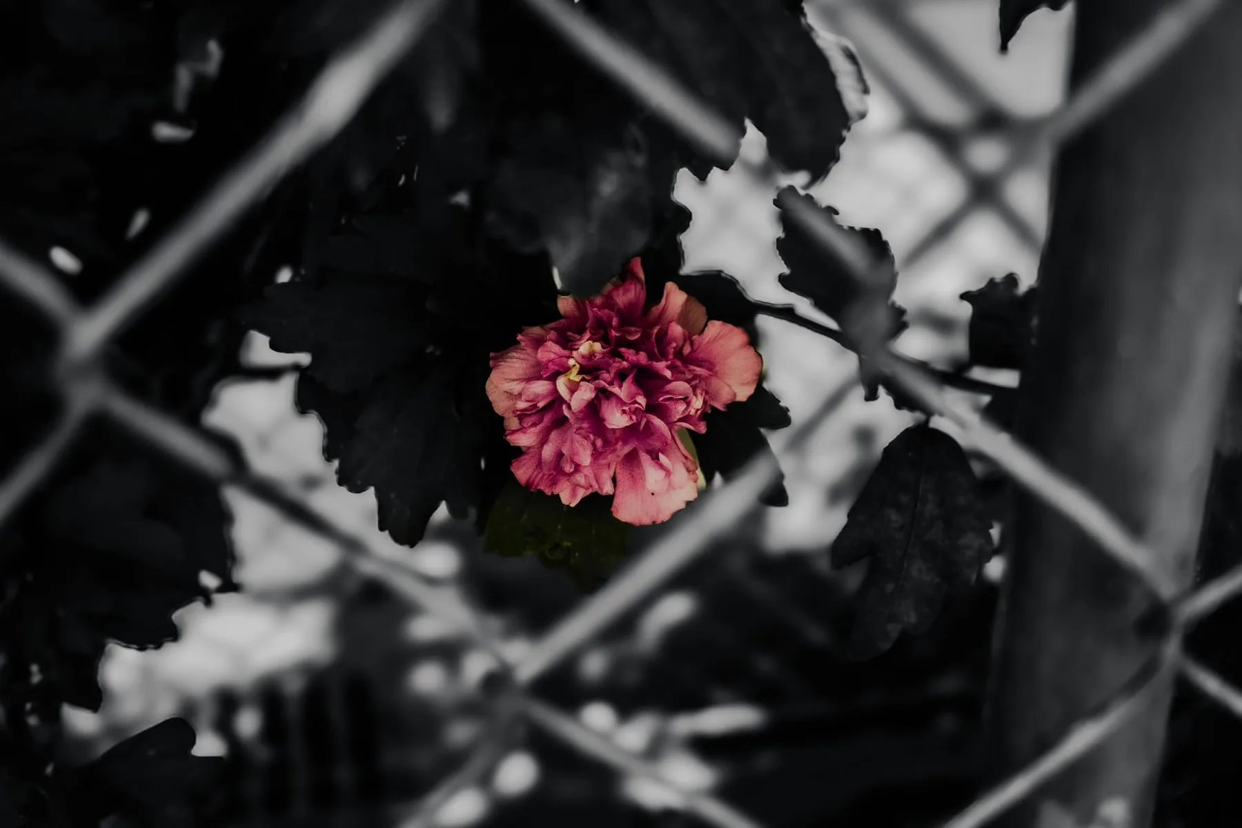 Photographie — visuel 5
