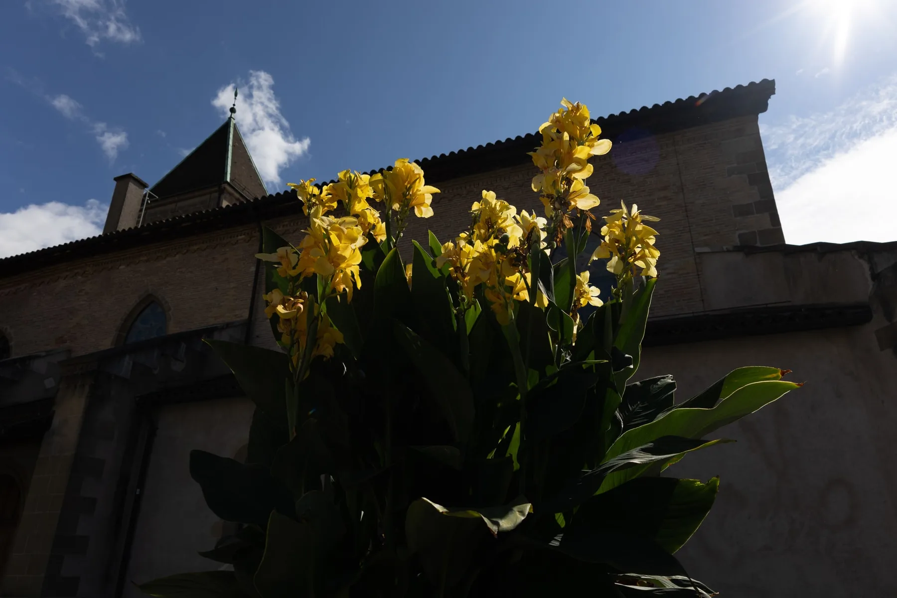 Photographie — visuel 10