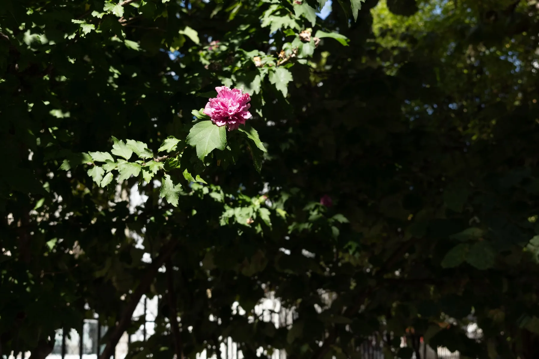 Photographie — visuel 3
