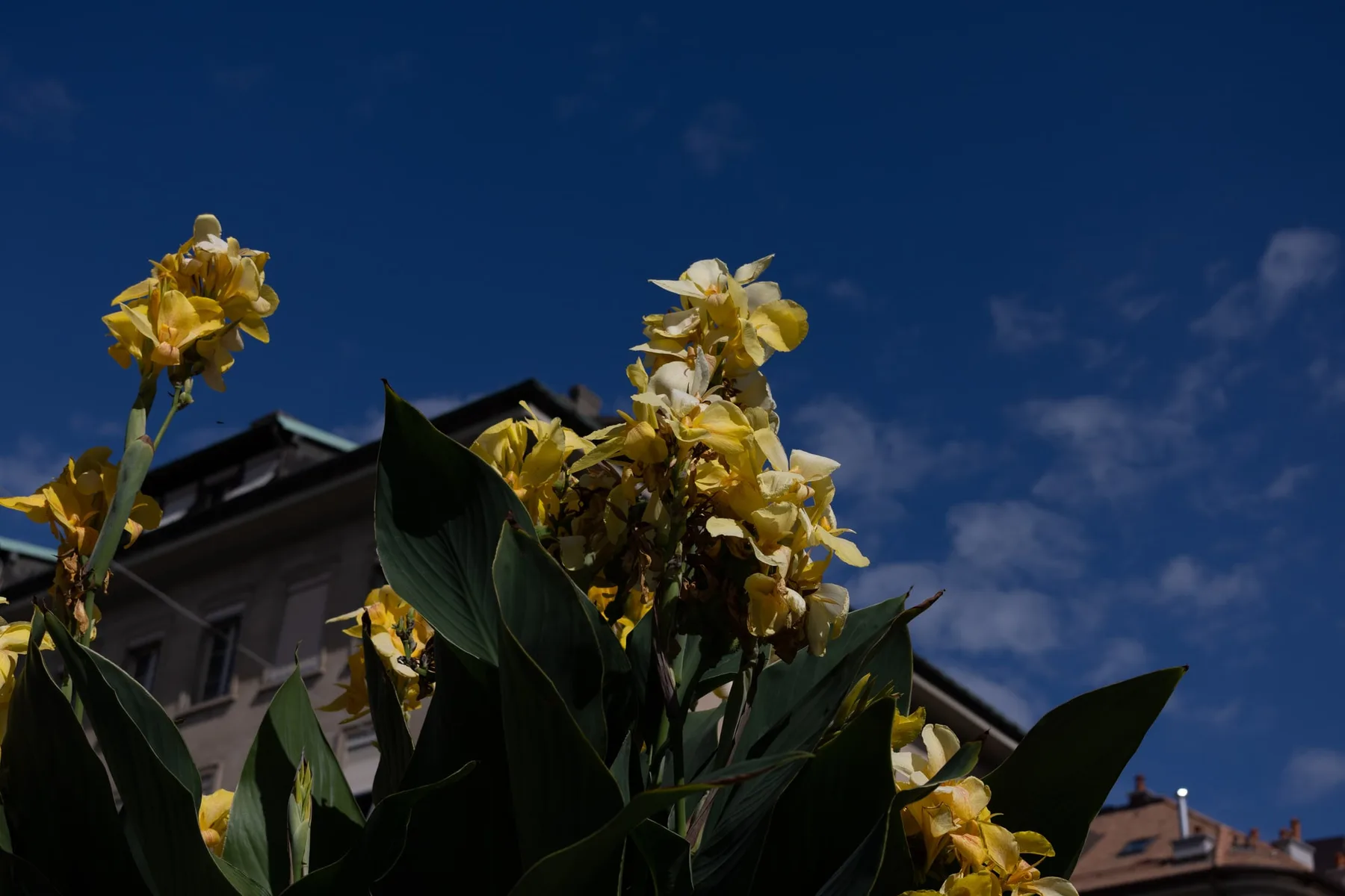 Photographie — visuel 9