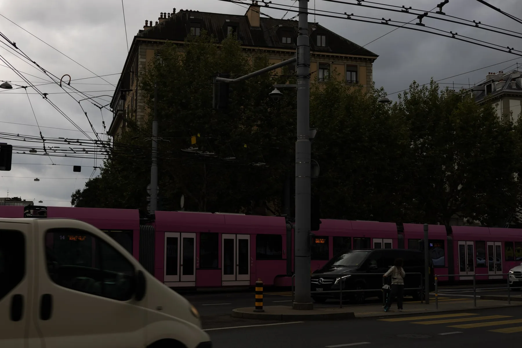 La vie en Rose — visuel 3