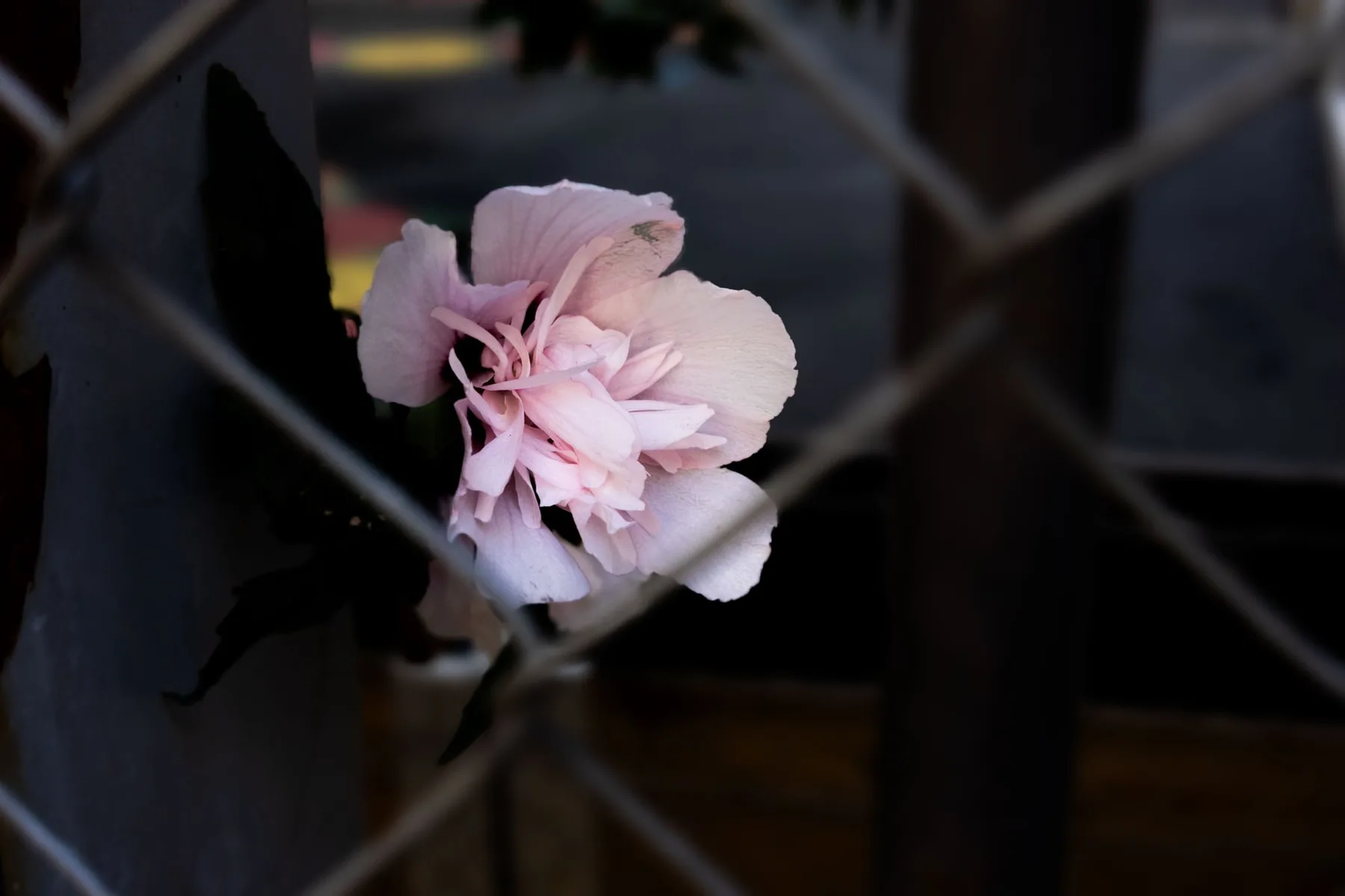 Photographie — visuel 6