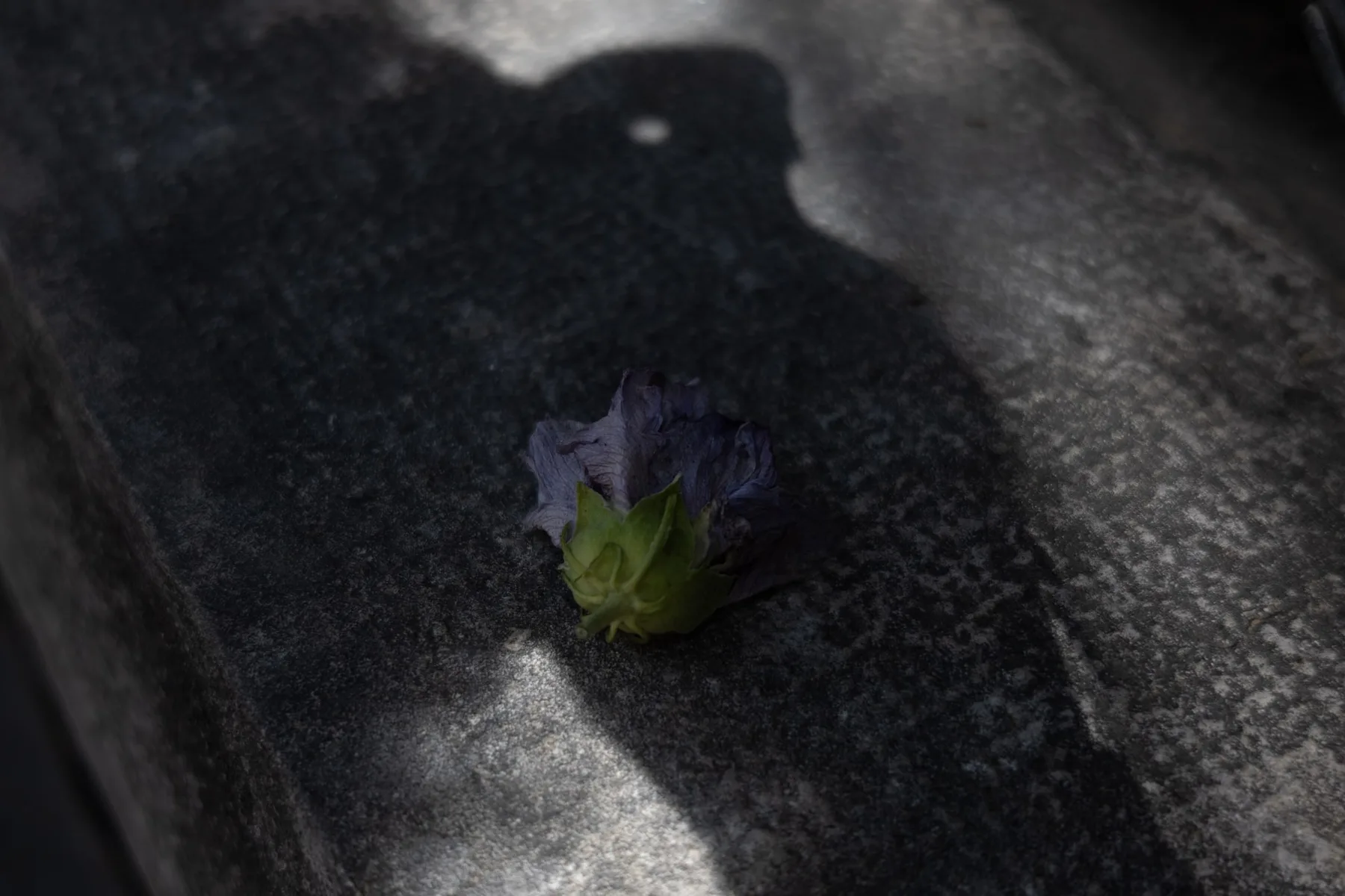 Photographie — visuel 7